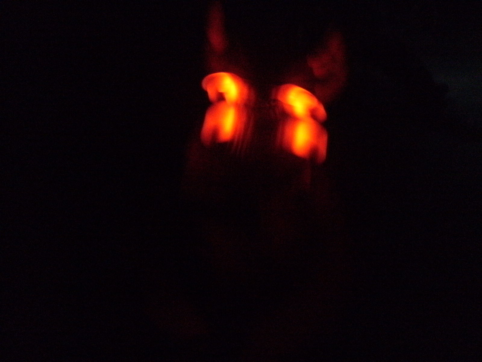 DSCF3975.jpg