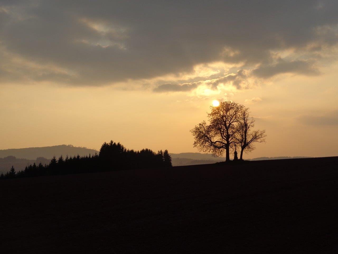 dsc00376