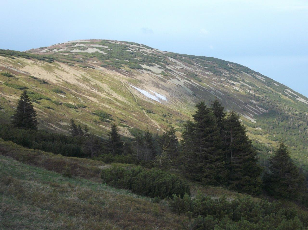 DSCF8463